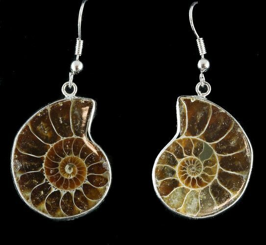 Fossil Ammonite Earrings - Million Years Old #48838